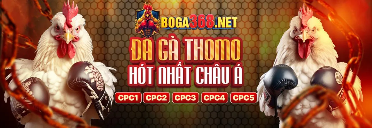 Đá Gà Trực Tuyến Hấp Dẫn tại Ole777 Win