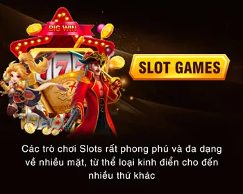Chứng nhận Sự lựa chọn của người chơi